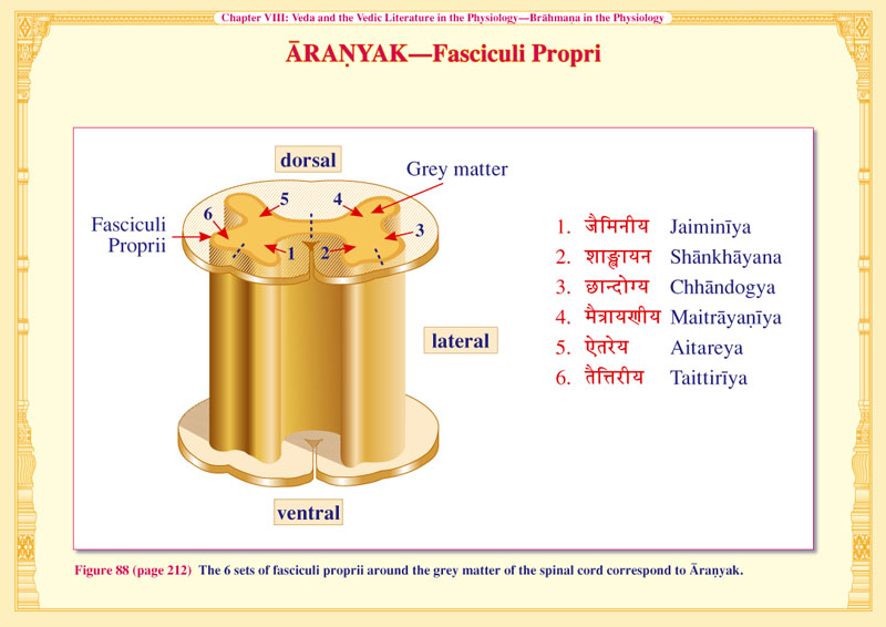 ARANYAK