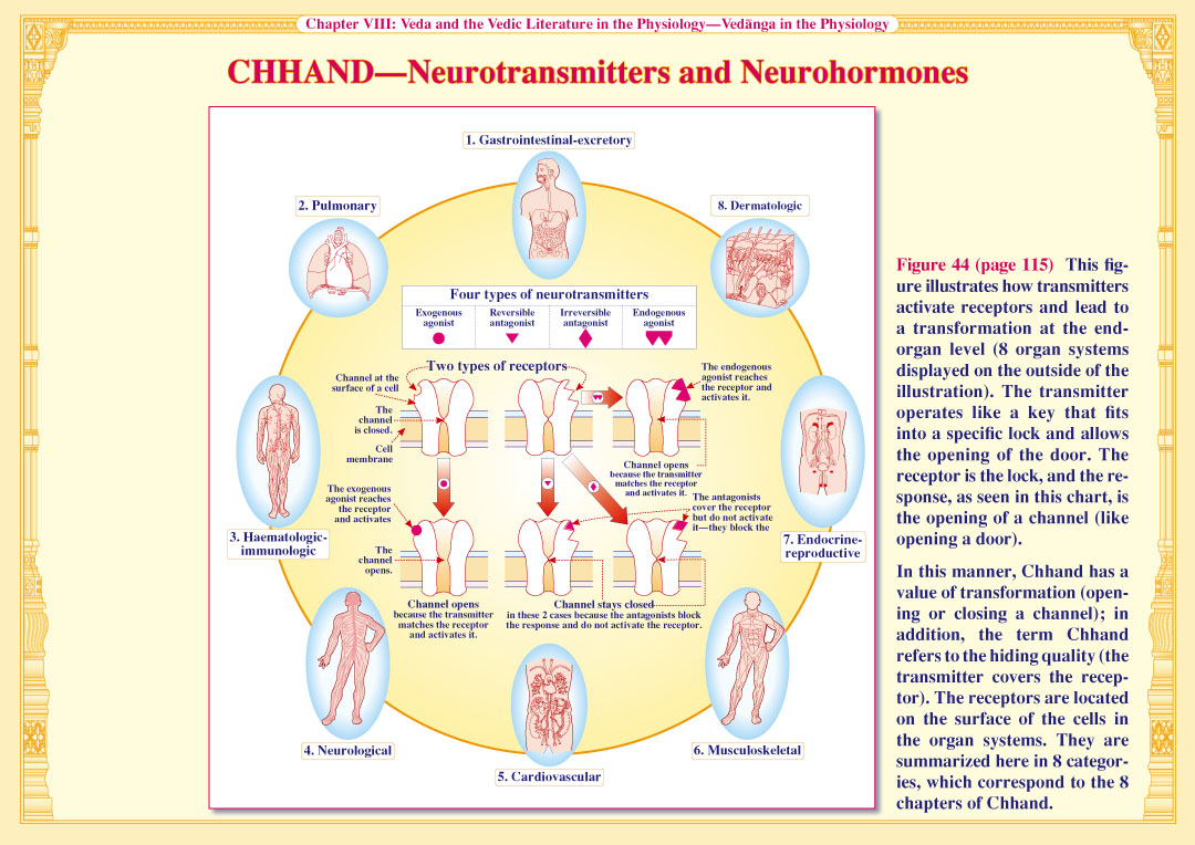 Chhand