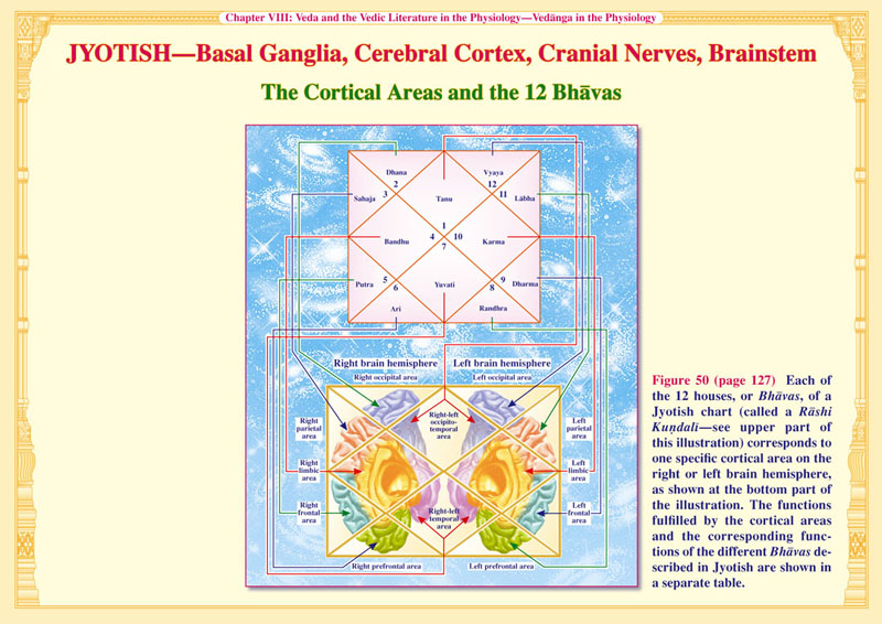 Jyotish-12 Bhavas