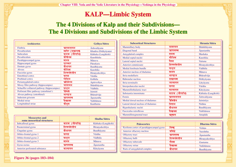 Kalp