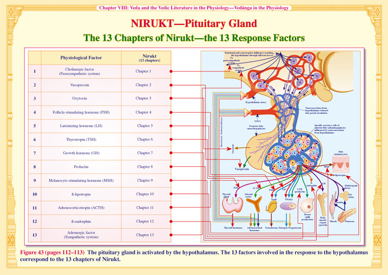 Nirukt