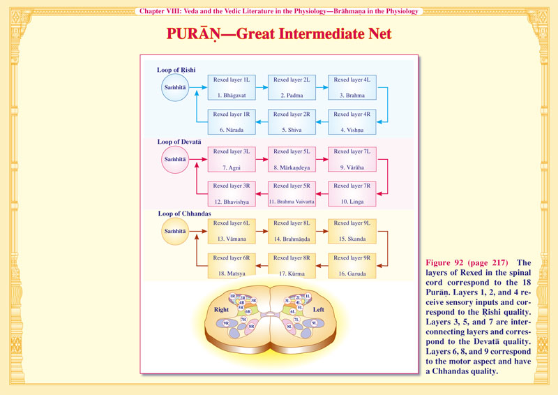 Puran