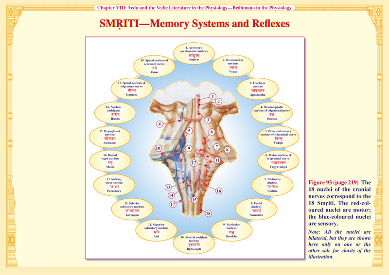 Smriti