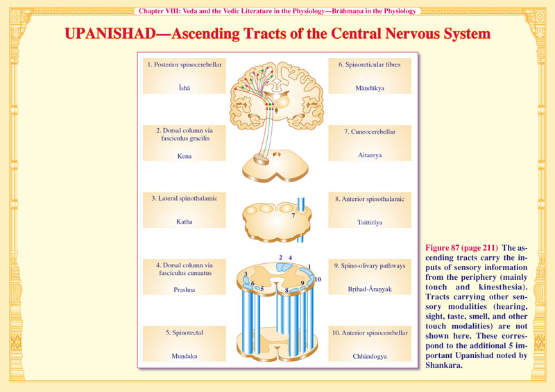 Upanishad